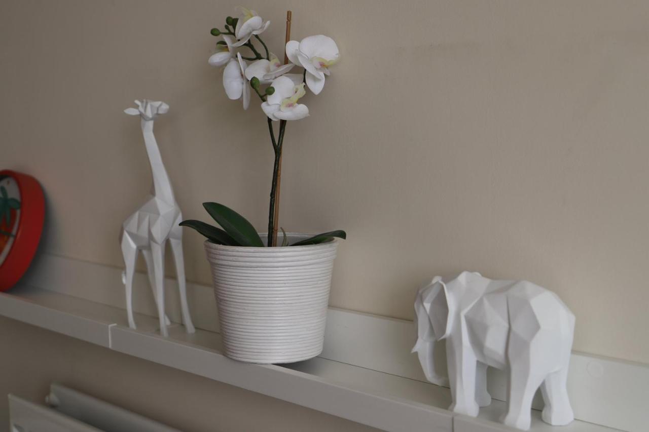 Birmingham Fiveways Garden View Apartment المظهر الخارجي الصورة